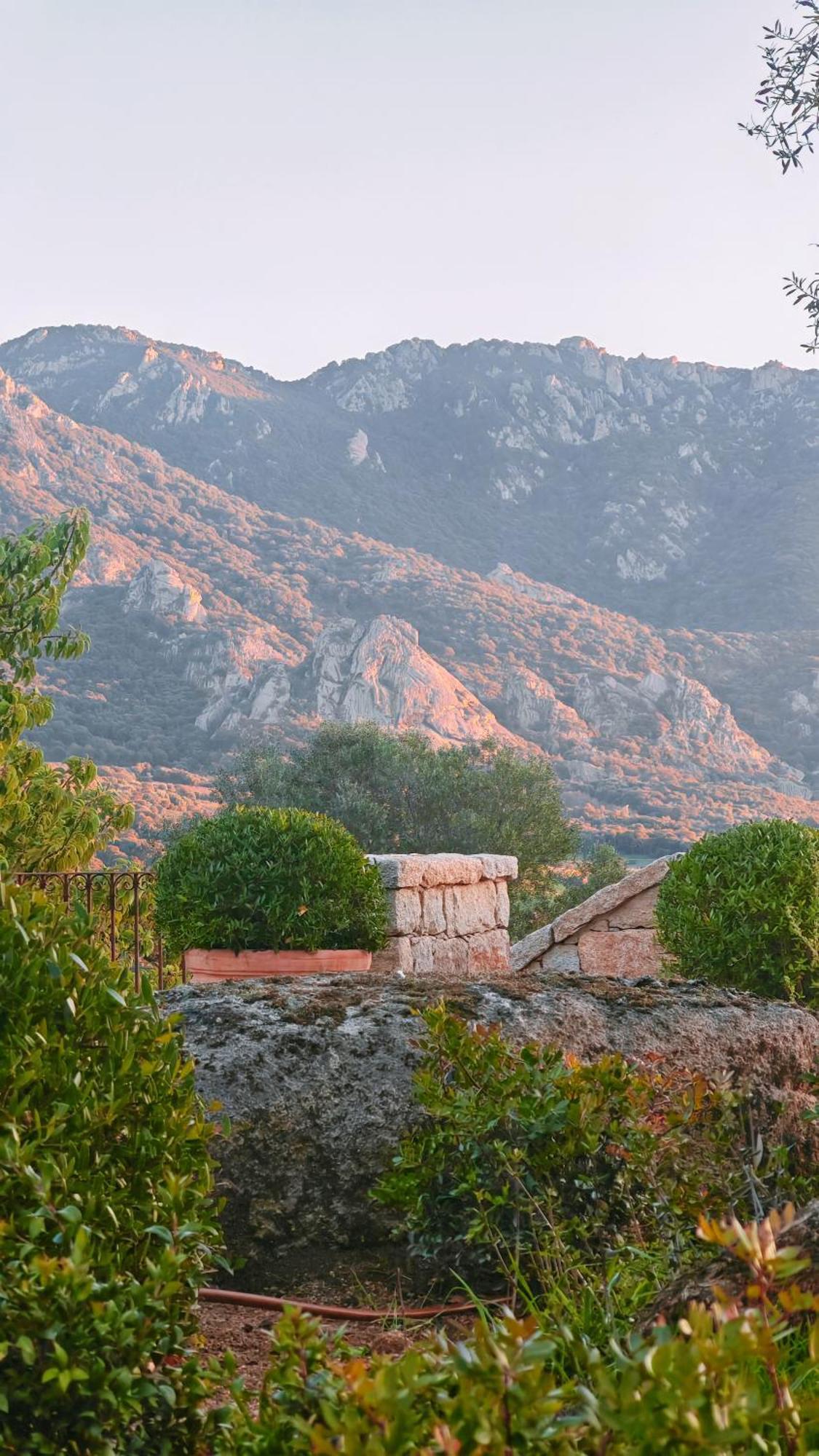 Le Hameau De Saparale Сартен Экстерьер фото